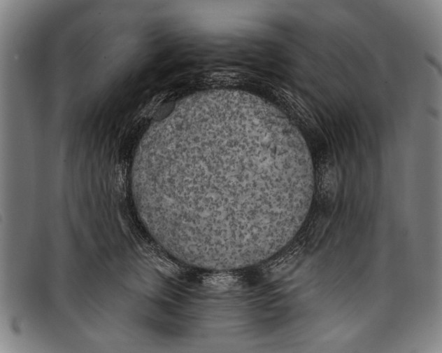 X0000097810759200804041336