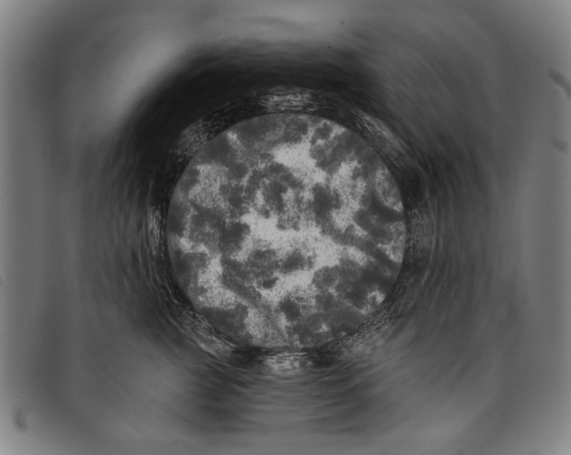 X0000097810761200804041336