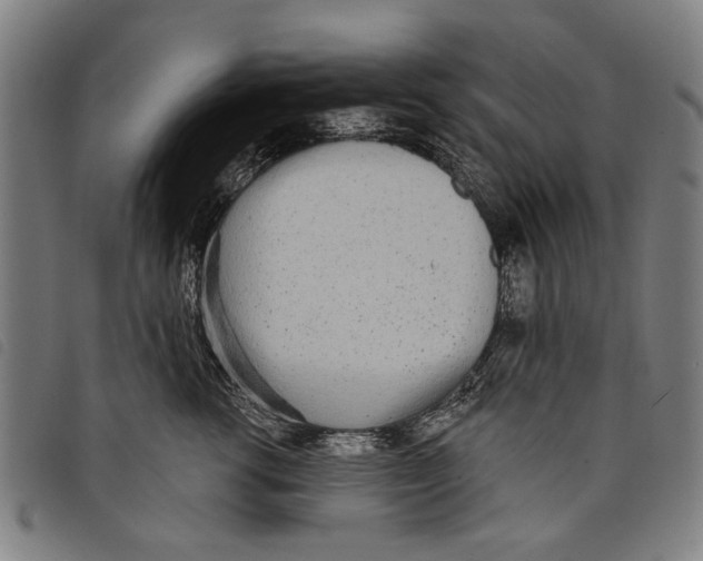 X0000097810762200804041336