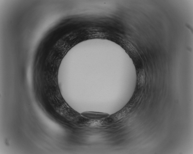 X0000097810764200804041336