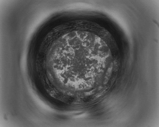 X0000097810765200804041336