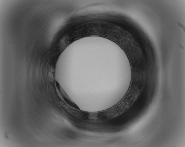 X0000097810766200804041336