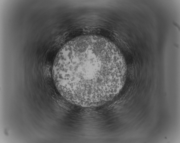 X0000097810770200804041335