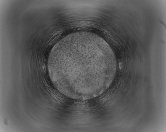 X0000097810771200804041335