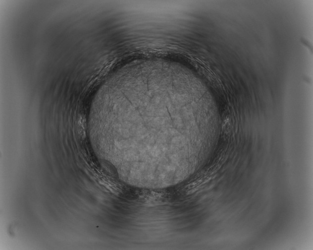 X0000097810772200804041335