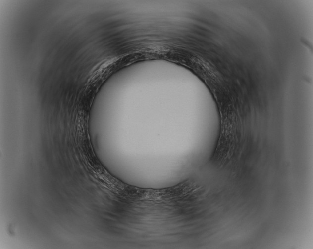 X0000097810773200804041335