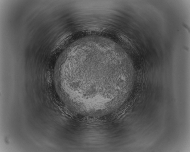 X0000097810774200804041335