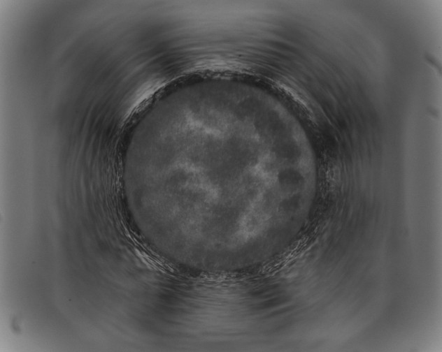 X0000097810775200804041335