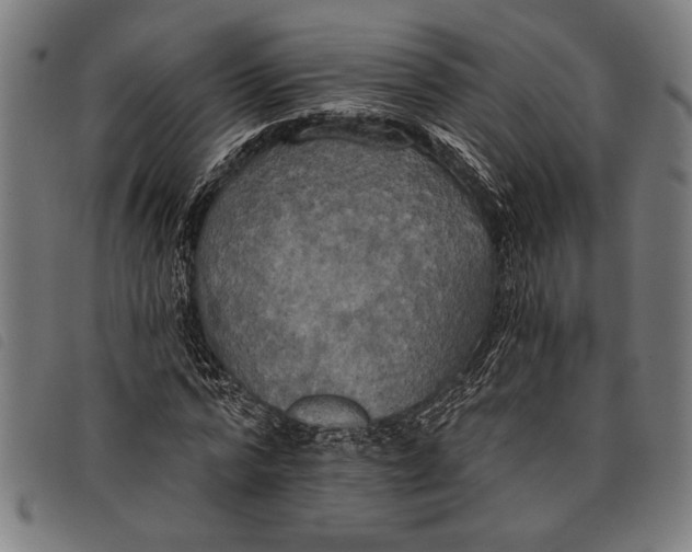 X0000097810776200804041335