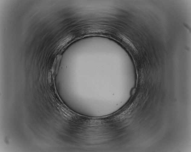 X0000097810777200804041335