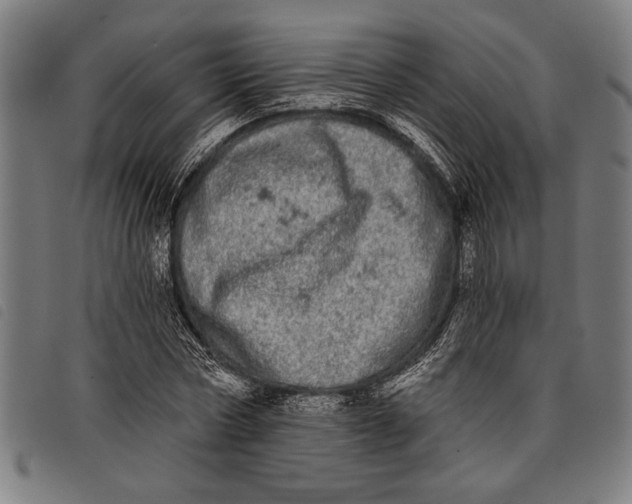 X0000097810778200804041335