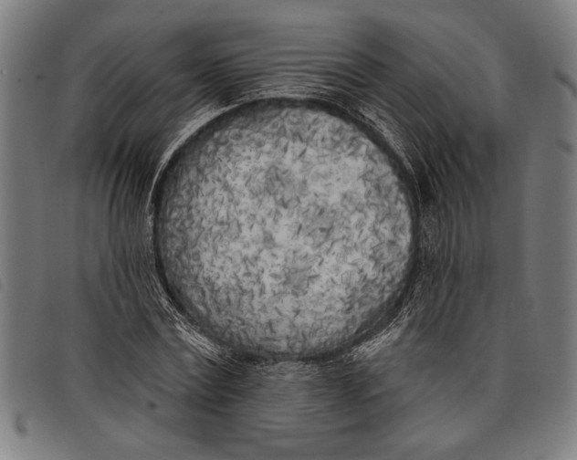 X0000097810779200804041335