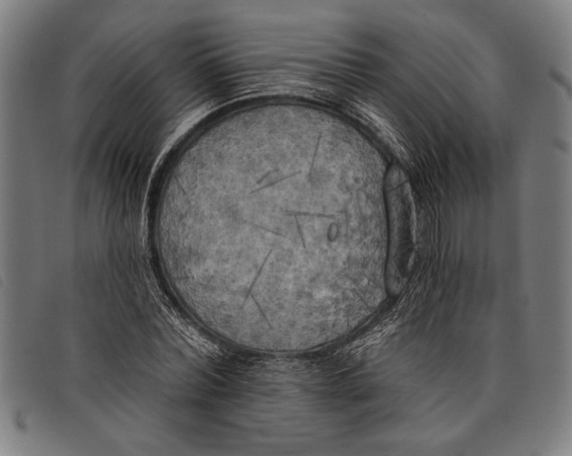 X0000097810780200804041335