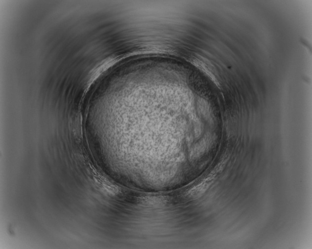 X0000097810781200804041335