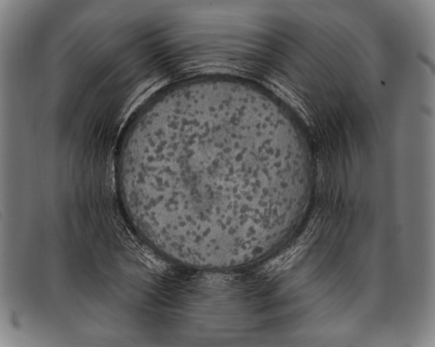 X0000097810782200804041335