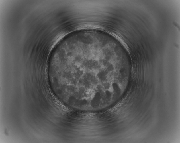 X0000097810783200804041335