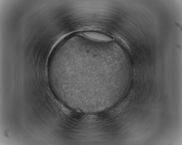 X0000097810784200804041335