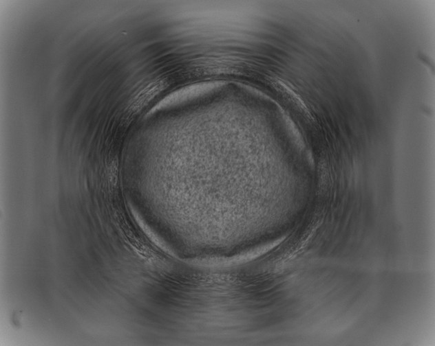 X0000097810785200804041335