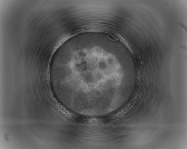 X0000097810787200804041335