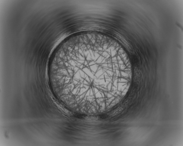 X0000097810788200804041335