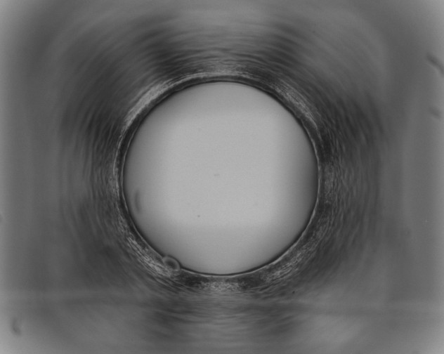 X0000097810789200804041335