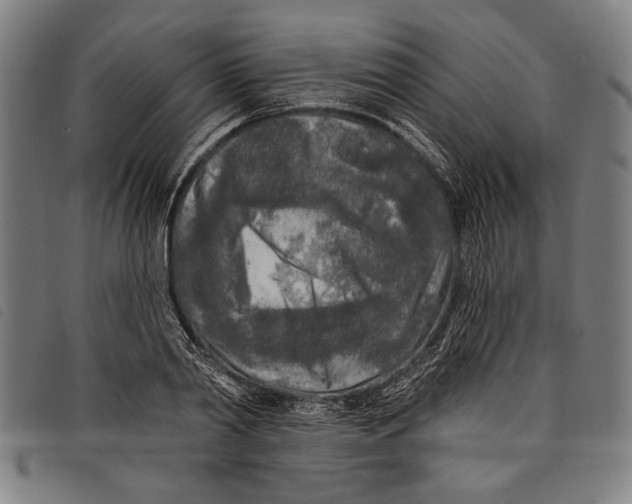 X0000097810790200804041335