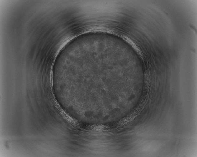 X0000097810791200804041335