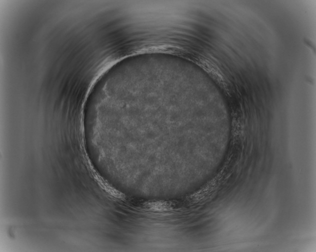 X0000097810792200804041335