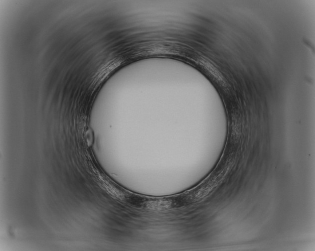 X0000097810793200804041335