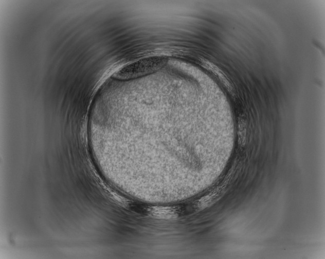 X0000097810794200804041335