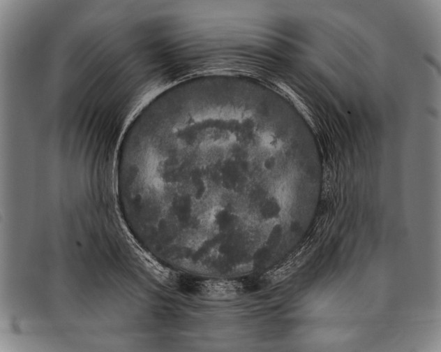 X0000097810795200804041335