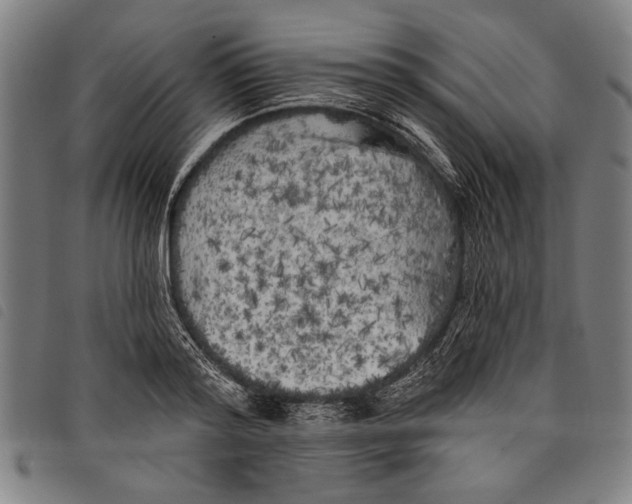 X0000097810796200804041335