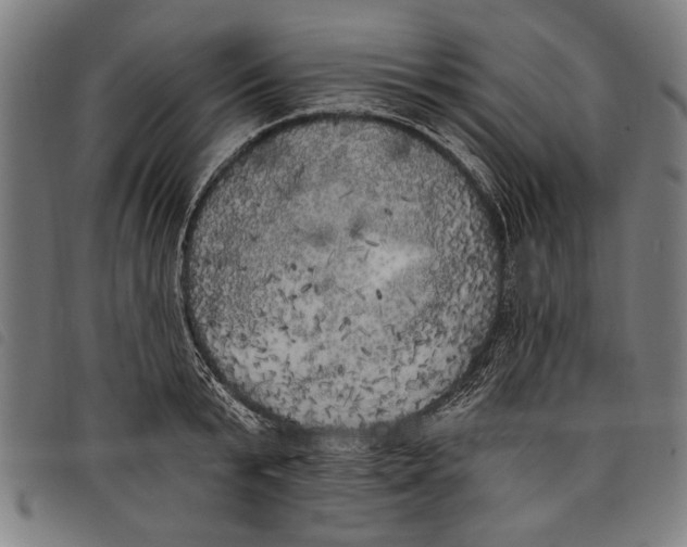 X0000097810799200804041335