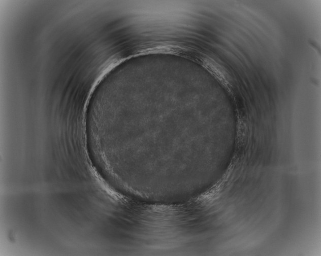 X0000097810800200804041335