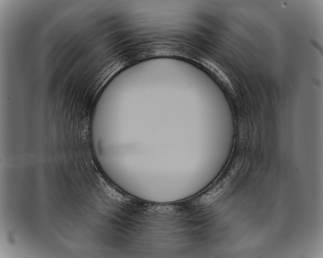 X0000097810801200804041335