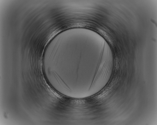 X0000097810802200804041335