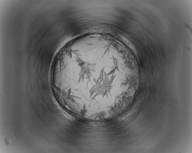 X0000097810803200804041335