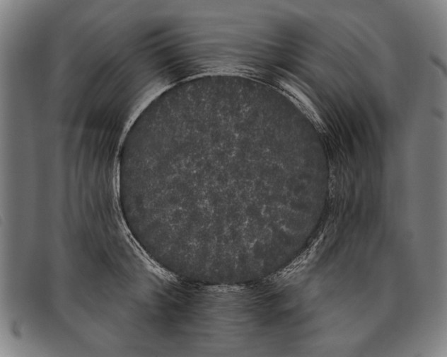 X0000097810804200804041335