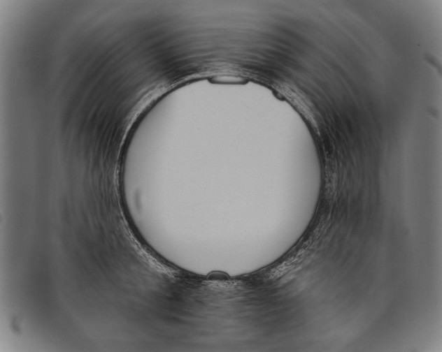 X0000097810805200804041335