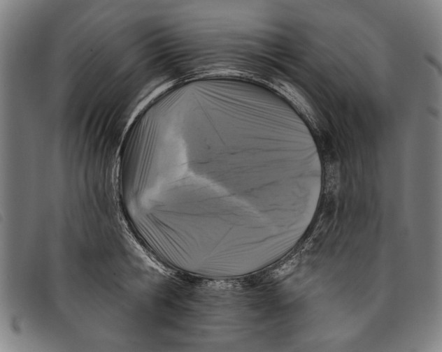 X0000097810806200804041335