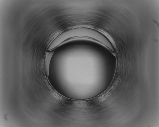 X0000097810809200804041335