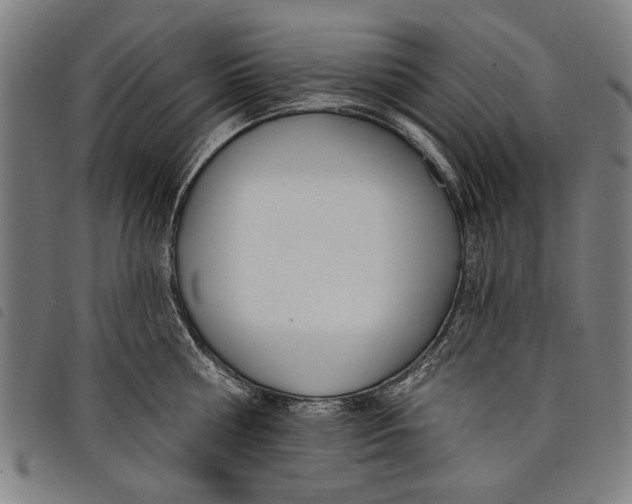 X0000097810810200804041335