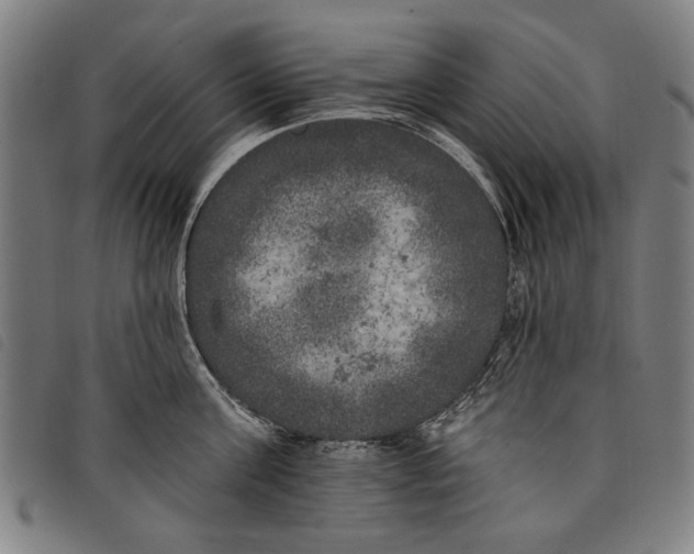 X0000097810811200804041335