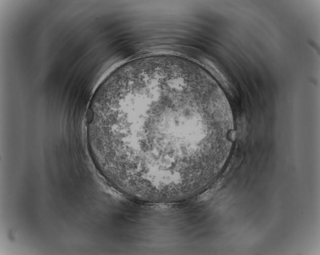 X0000097810814200804041335