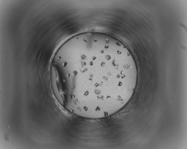 X0000097810816200804041335