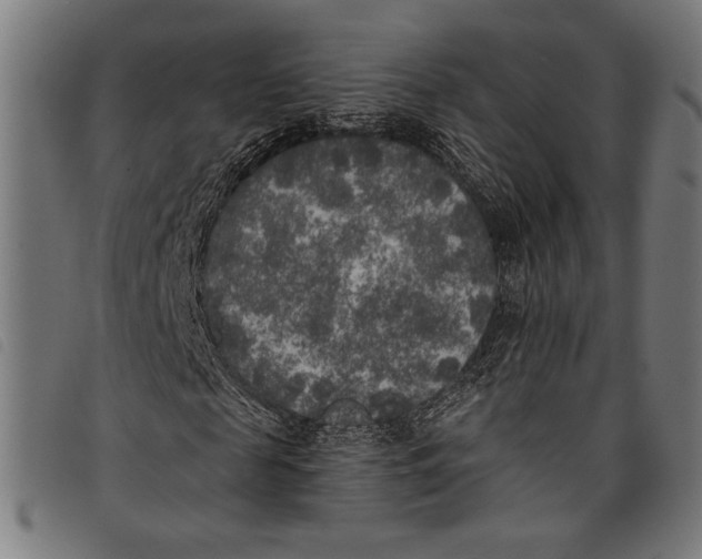 X0000097810817200804041334