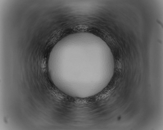 X0000097810818200804041334