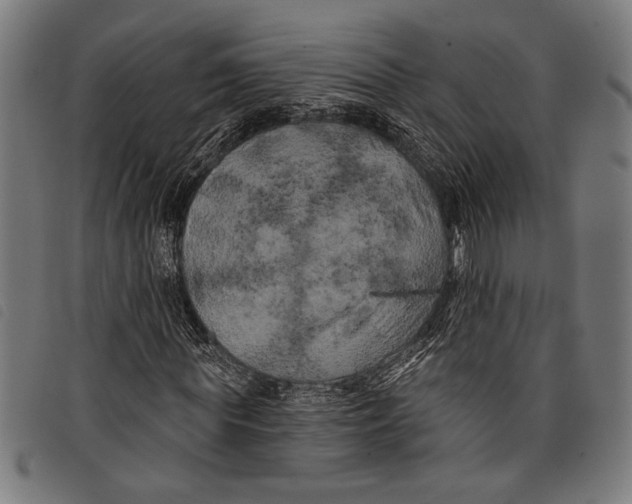 X0000097810819200804041334