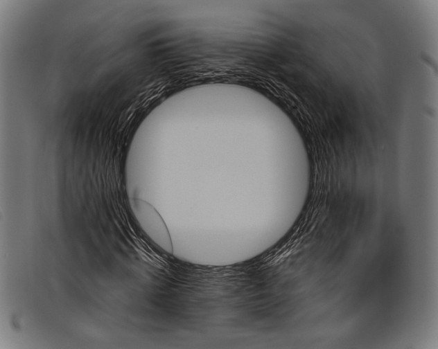 X0000097810820200804041334