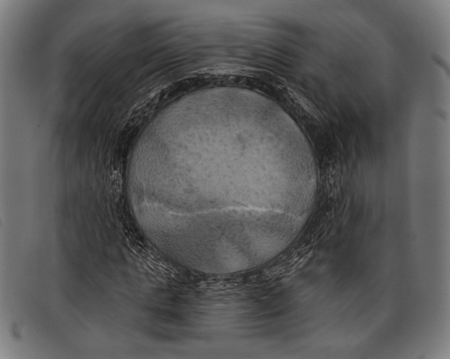 X0000097810821200804041334